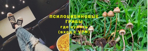 ешки Кодинск